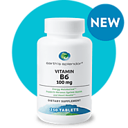 Vitamin B6 100 Mg Supplement - Earth's splendor