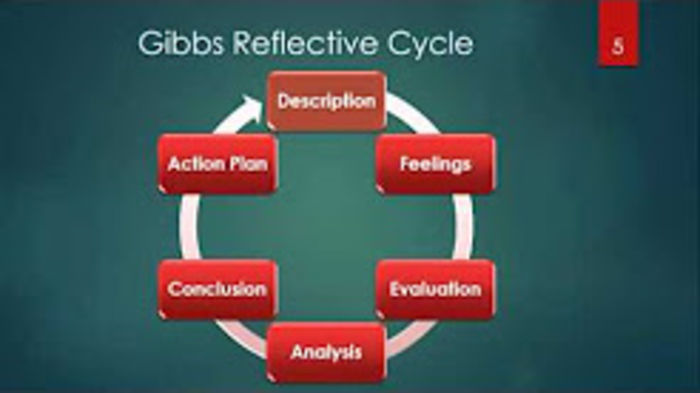 Critical Reflection and Reflective Practice - Scholarship and Speculation