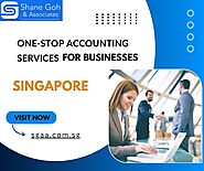 Accounting Services for businesses in Singapore