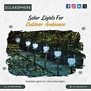 Natural Illumination with Solar-Powered Outdoor Lights!