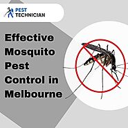 Effective Mosquito Pest Control in Melbourne