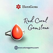 Original red coral buy online