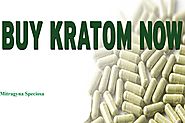 The Best Places to Buy Kratom