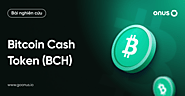 The future of BCH