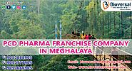 PCD Pharma Franchise Company in Meghalaya | Call Now!