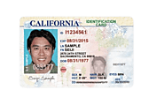 Buy Fake ID, The ultimate guide to Buying ID cards online - Elite Tech Tools