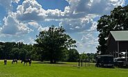 Affordable Boarding Stables in Mississippi - Horse Owners Club