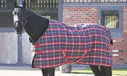 6 Must-Have Horse Blankets to Buy Online - Horse Owners Club