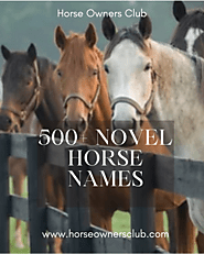 Horse Names—500+ Novel Horse Names