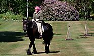 Horseback Ride with Comfort Over 50 - Horse Owners Club