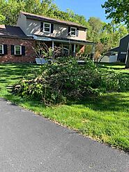 Professional Yard Waste Removal Services in Bucks County, PA