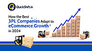 How the Best 3PL Companies Adapt to eCommerce Growth in 2024?