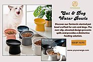 Cat and Dog Water Bowls: Pet Bowls with Tilt Design