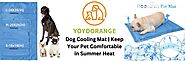 Dog Cooling Mat | Keep Your Pet Comfortable in Summer Heat