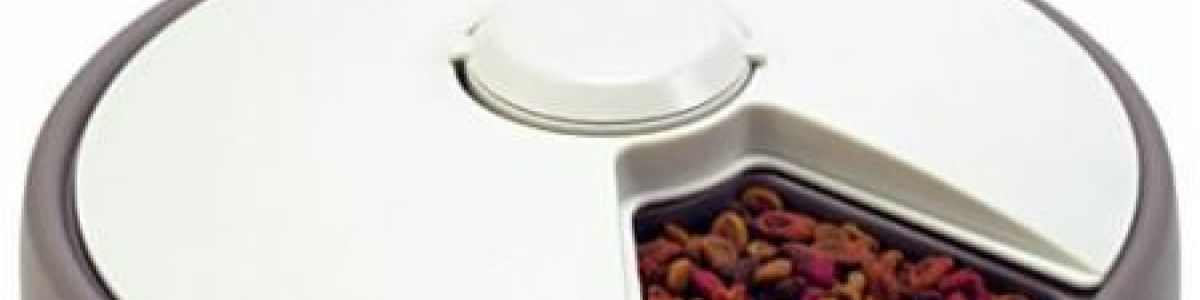 Headline for Top 10 Best Automatic Dog Feeders Reviews