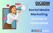 Social Media Marketing Course in Fatehabad: DigiDM Institute