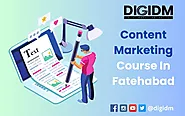 Content Marketing Course in Fatehabad: DigiDM Institute