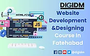 Website Designing/Development Course in Fatehabad: DigiDM Institute