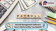 Why You Need Payroll Management Software and How It Works!