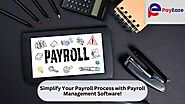 Effortlessly Manage Payroll with Payroll Management Software!