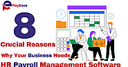 8 Crucial Reasons Why Your Business Needs HR Payroll Management Software