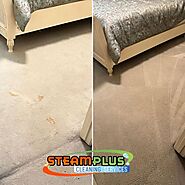 Professional Carpet Cleaning in Sugar Land TX