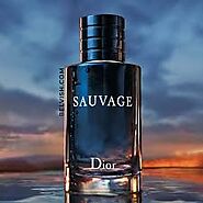 Best Dior Sauvage Cologne