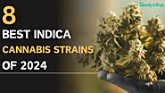 8 Best Indica Cannabis Strains of 2024