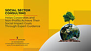 What Are Social Sector Consulting Services in the Indian Context