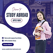 Top Study Abroad Consultant in Chennai