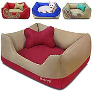 Blueberry Pet Microsuede Pet Bed, Recyclable & Removable Stuffing w/YKK Zippers, Machine Washable, for Cats & Dogs, 2...