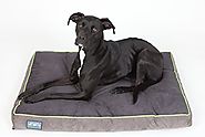 First-Quality 6" Thick Orthopedic Dog Bed | Pure Premium Memory Foam | Ideal for Aging Dogs | Helps Ease Pain of Arth...