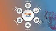 Ride on the benefits of white label software for gaming: A quick way to a flourishing business - WiredKing