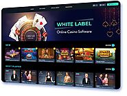 What is white label and white label gaming solution means?