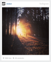Introducing Instagram Web Embeds