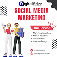 Best Social Media Marketing Company Rajkot, India-DigitalBrizz