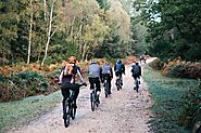 Cycling in the New Forest