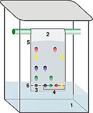 Thin-Layer Chromatography (TLC Method and Apparatus)