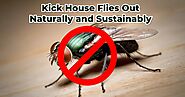 The Green Revolution | Kick House Flies Out Naturally and Sustainably