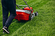 How Can a Lawn Corer Help in Rejuvenating Your Garden?