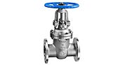 Hastelloy Valves Manufacturer & Supplier in India