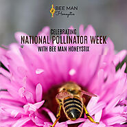 Pocket - Celebrating National Pollinator Week with Bee Man Honeystix