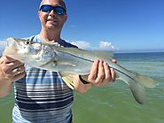 Most Enjoyable Fishing Trip in Tampa Bay FL