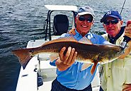 Fishing Report Tampa Bay