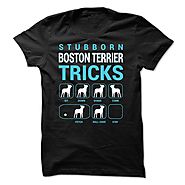 Stubborn Boston Terrier Tricks