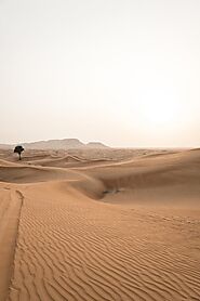 Be adventurous in the Dubai desert