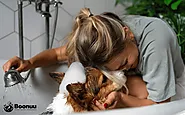 At-Home Pet Grooming Guide: Tips & Tricks for Busy Pet Parents