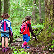 Survival Skills For Kids - A Parent's Guide