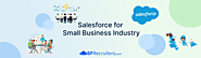 Salesforce for Small Business Industry