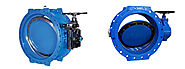 Double Eccentric Butterfly Valve Manufacturer & Supplier in India